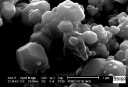 Image MEB d'une poudre de nitrure de titane